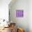 ¡Viva Mexico! Square Collection - Mosaics Purple Bricks-Philippe Hugonnard-Premier Image Canvas displayed on a wall