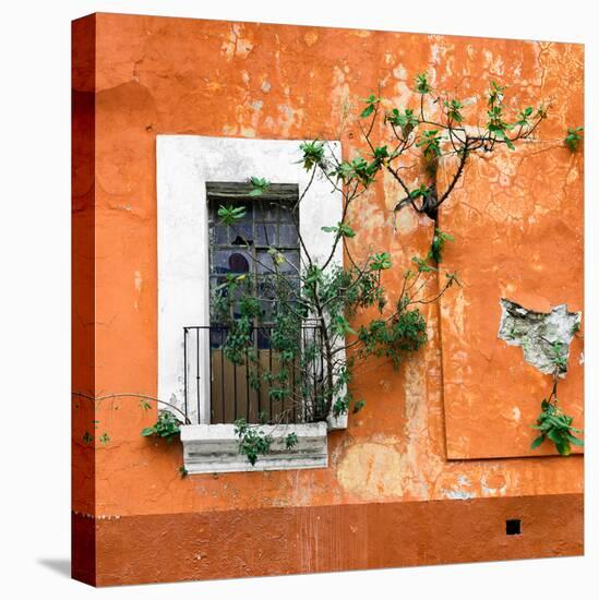 ?Viva Mexico! Square Collection - Old Orange Facade II-Philippe Hugonnard-Premier Image Canvas