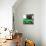 ¡Viva Mexico! Square Collection - Small Green VW Beetle Car-Philippe Hugonnard-Premier Image Canvas displayed on a wall