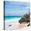 ¡Viva Mexico! Square Collection - Tulum Caribbean Coastline V-Philippe Hugonnard-Premier Image Canvas