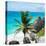 ¡Viva Mexico! Square Collection - Tulum Caribbean Coastline X-Philippe Hugonnard-Premier Image Canvas
