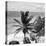 ¡Viva Mexico! Square Collection - Tulum Caribbean Coastline XI-Philippe Hugonnard-Premier Image Canvas