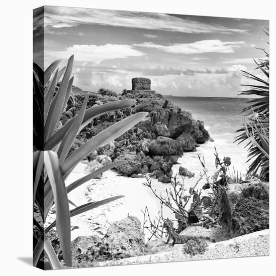 ¡Viva Mexico! Square Collection - Tulum Ruins along Caribbean Coastline with Iguana II-Philippe Hugonnard-Premier Image Canvas