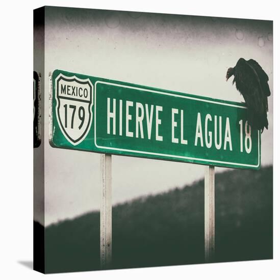 ¡Viva Mexico! Square Collection - Vulture III-Philippe Hugonnard-Premier Image Canvas