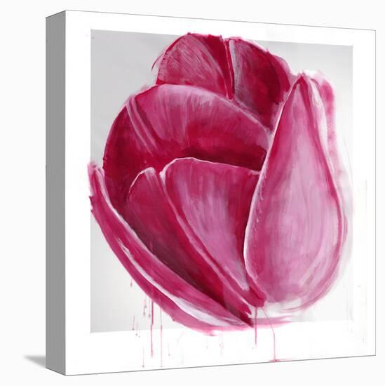 Vivacious Tulip Bloom-Miranda York-Stretched Canvas