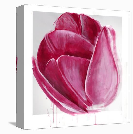 Vivacious Tulip Bloom-Miranda York-Stretched Canvas