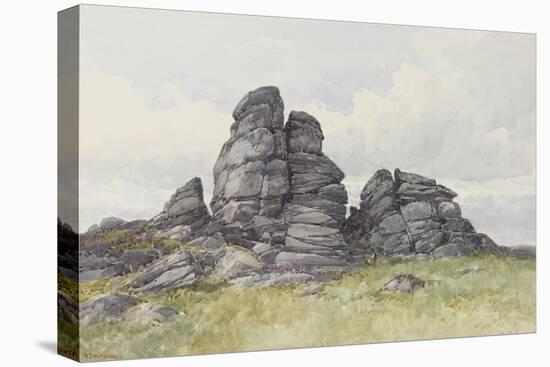 Vixen Tor, Near Merivale Bridge, Dartmoor , C.1895-96-Frederick John Widgery-Premier Image Canvas