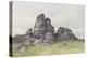 Vixen Tor, Near Merivale Bridge, Dartmoor , C.1895-96-Frederick John Widgery-Premier Image Canvas