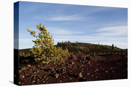 Volcanic Lava Fields, Craters of the Moon National Monument, Idaho-Paul Souders-Premier Image Canvas