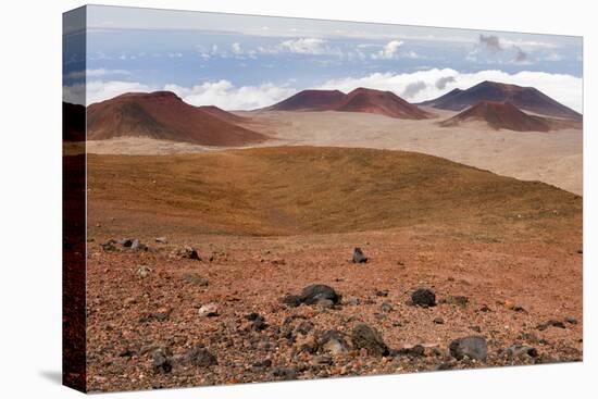 Volcanic Rock Formations , the Big Island of Hawaii-James White-Premier Image Canvas