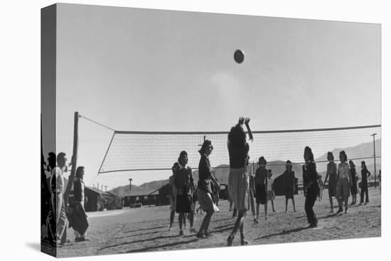 Volley Ball Game-Ansel Adams-Stretched Canvas