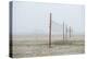 Volleyball nets on the beach, Cannon Beach, Oregon, USA-Panoramic Images-Premier Image Canvas