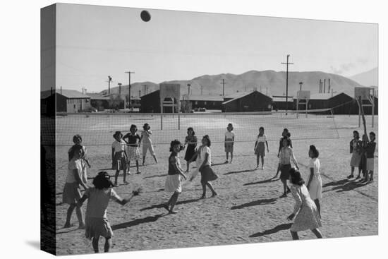 Vollyball-Ansel Adams-Stretched Canvas