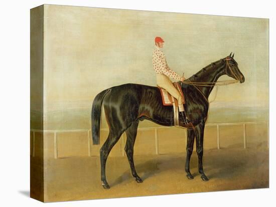 Voltigeur, with Job Marson Up-Samuel Spode-Premier Image Canvas