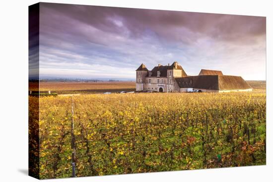 Vougeot Castle and Vineyards, Burgundy, France-Matteo Colombo-Premier Image Canvas