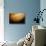 Voyager 2 Photo of Jupiter's Southern Hemisphere-null-Premier Image Canvas displayed on a wall