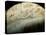Voyager 2 Photomosaic of Neptune's Moon Triton-null-Premier Image Canvas
