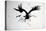 Vulture, nextinctions, folder, 14 (ink on paper)-Ralph Steadman-Premier Image Canvas
