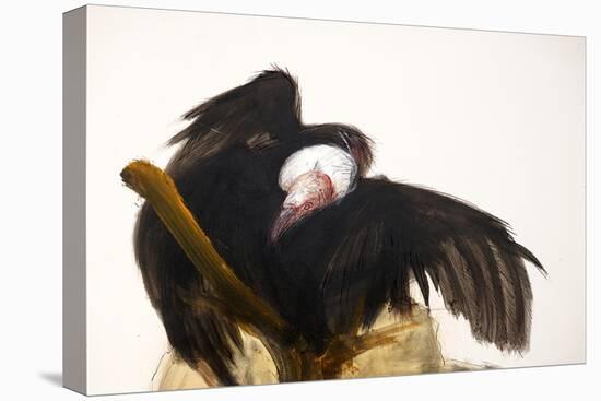 Vulture, nextinctions, folder, 3 (ink and acrylic on paper)-Ralph Steadman-Premier Image Canvas