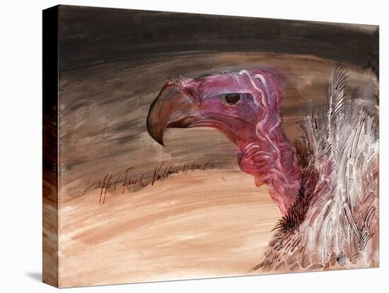 Vulture, nextinctions, folder, 4, 1983 (ink and acrylic on paper)-Ralph Steadman-Premier Image Canvas