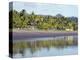 Vultures on the Beach at Playa Sihuapilapa, Pacific Coast, El Salvador, Central America-Christian Kober-Premier Image Canvas