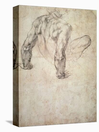 W.63R Study of a Male Nude, Leaning Back on His Hands-Michelangelo Buonarroti-Premier Image Canvas