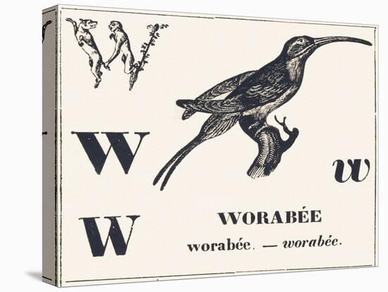 W for Worabee (Variety of African Weaver, Sought after as a Cage Bird), 1850 (Engraving)-Louis Simon (1810-1870) Lassalle-Premier Image Canvas