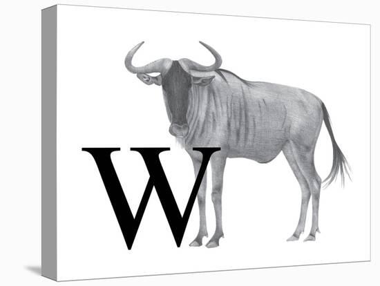 W is for Wildebeest-Stacy Hsu-Stretched Canvas