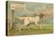 W.J. and F. Quennell Trade Card with an English Setter-null-Premier Image Canvas