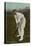 W. W. Armstrong, Cricket Player from Australia-null-Stretched Canvas