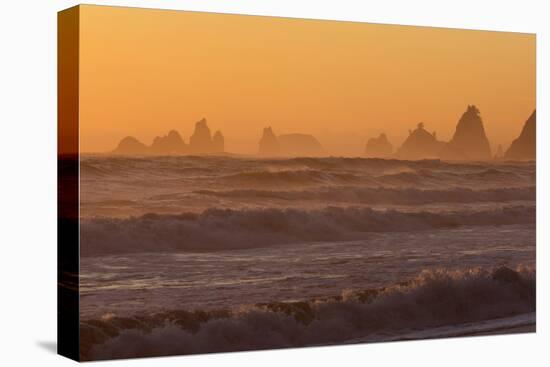 Wa, Olympic National Park, Sea Stacks at Sunset, Rialto Beach-Jamie And Judy Wild-Premier Image Canvas