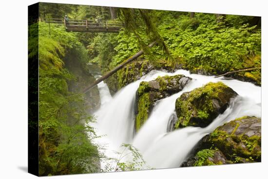 Wa, Olympic National Park, Sol Duc Falls-Jamie And Judy Wild-Premier Image Canvas