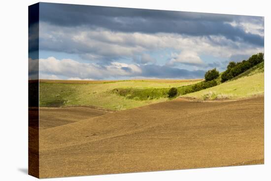 WA. Palouse, Whitman County, Palouse hills between St. John and Endicott-Alison Jones-Premier Image Canvas