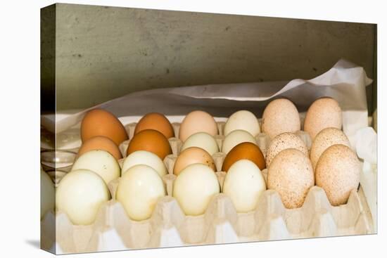 WA, Palouse, Whitman County. Pioneer Stock Farm, farm eggs in root cellar-Alison Jones-Premier Image Canvas