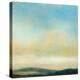 Wachusett Mountain-Suzanne Nicoll-Stretched Canvas