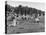 Wacs Playing Game of Softball-null-Premier Image Canvas