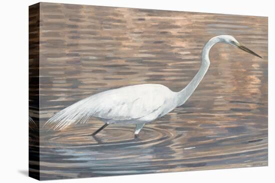 Wading Shore Bird-Norman Wyatt Jr.-Stretched Canvas