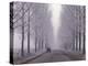 Wagon on Misty and Icy Road, Suceava County, Romania-Gavriel Jecan-Premier Image Canvas