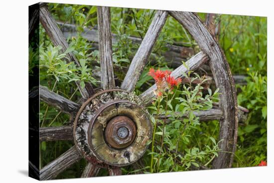 Wagon Wheel in Old Gold Town Barkersville, British Columbia, Canada-Michael DeFreitas-Premier Image Canvas