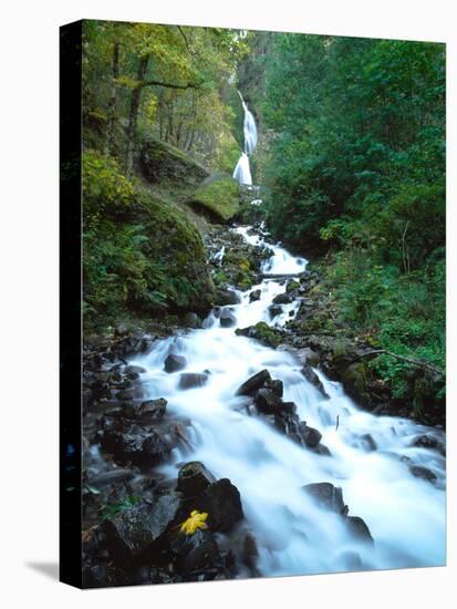 Wahkeena Falls, Columbia River Gorge National Scenic Area, Multnomah County, Oregon, USA-null-Premier Image Canvas