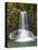 Waiau Waterfall Near 309 Road, Coromandel Peninsula, North Island, New Zealand-David Wall-Premier Image Canvas