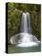 Waiau Waterfall Near 309 Road, Coromandel Peninsula, North Island, New Zealand-David Wall-Premier Image Canvas