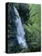 Waiere Falls Near Te Wairoa, North Island, New Zealand, Pacific-Ian Griffiths-Premier Image Canvas