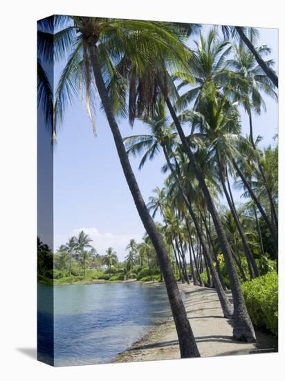 Waikaloa Beach, Island of Hawaii (Big Island), Hawaii, USA-Ethel Davies-Premier Image Canvas