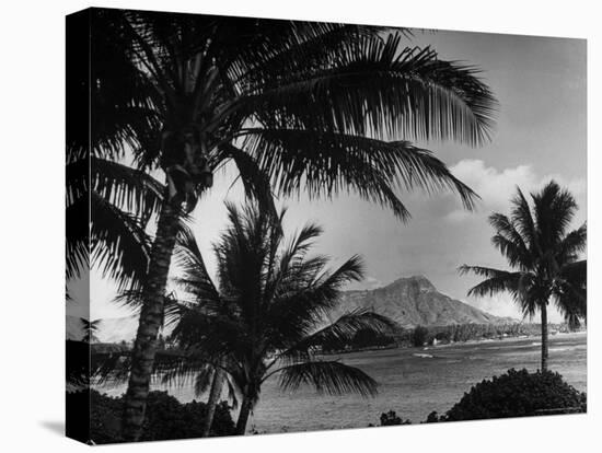 Waikiki Beach with Diamond Head in Rear as Seen from Across the Bay at the Royal Hawaiian-William C^ Shrout-Premier Image Canvas