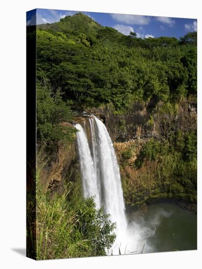 Wailua Falls, Kauai, Hawaii, USA-David R. Frazier-Premier Image Canvas