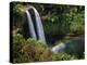Wailua Falls-Jim Mone-Premier Image Canvas