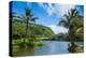 Wailua River. Kauai, Hawaii, United States of America, Pacific-Michael Runkel-Premier Image Canvas