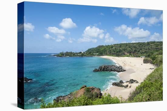 Waimea Bay Beach Park, North Shore, Oahu, Hawaii, United States of America, Pacific-Michael DeFreitas-Premier Image Canvas