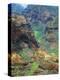 Waimea Canyon-James Randklev-Premier Image Canvas